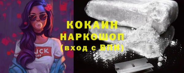 прущие грибы Покровск