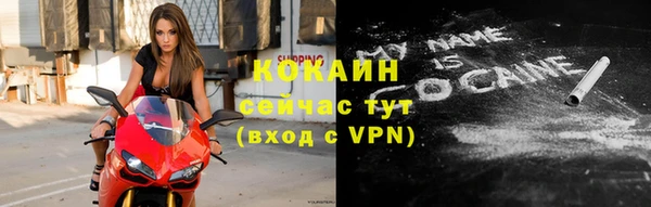 прущие грибы Покровск