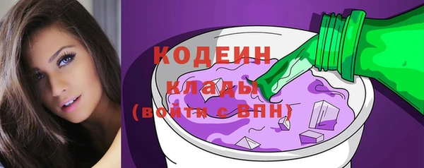 крисы Елабуга