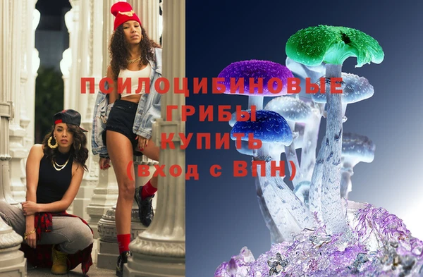 2c-b Покачи