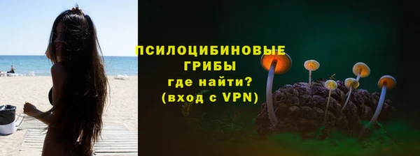 прущие грибы Покровск