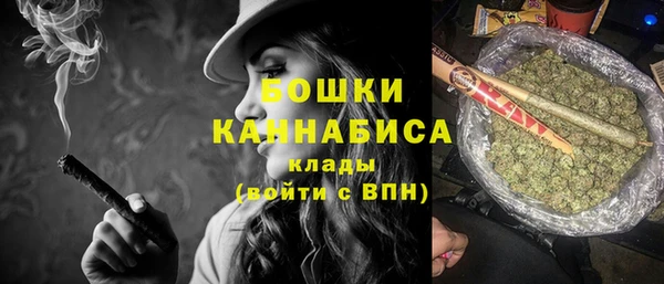 прущие грибы Покровск