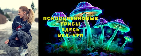 прущие грибы Покровск